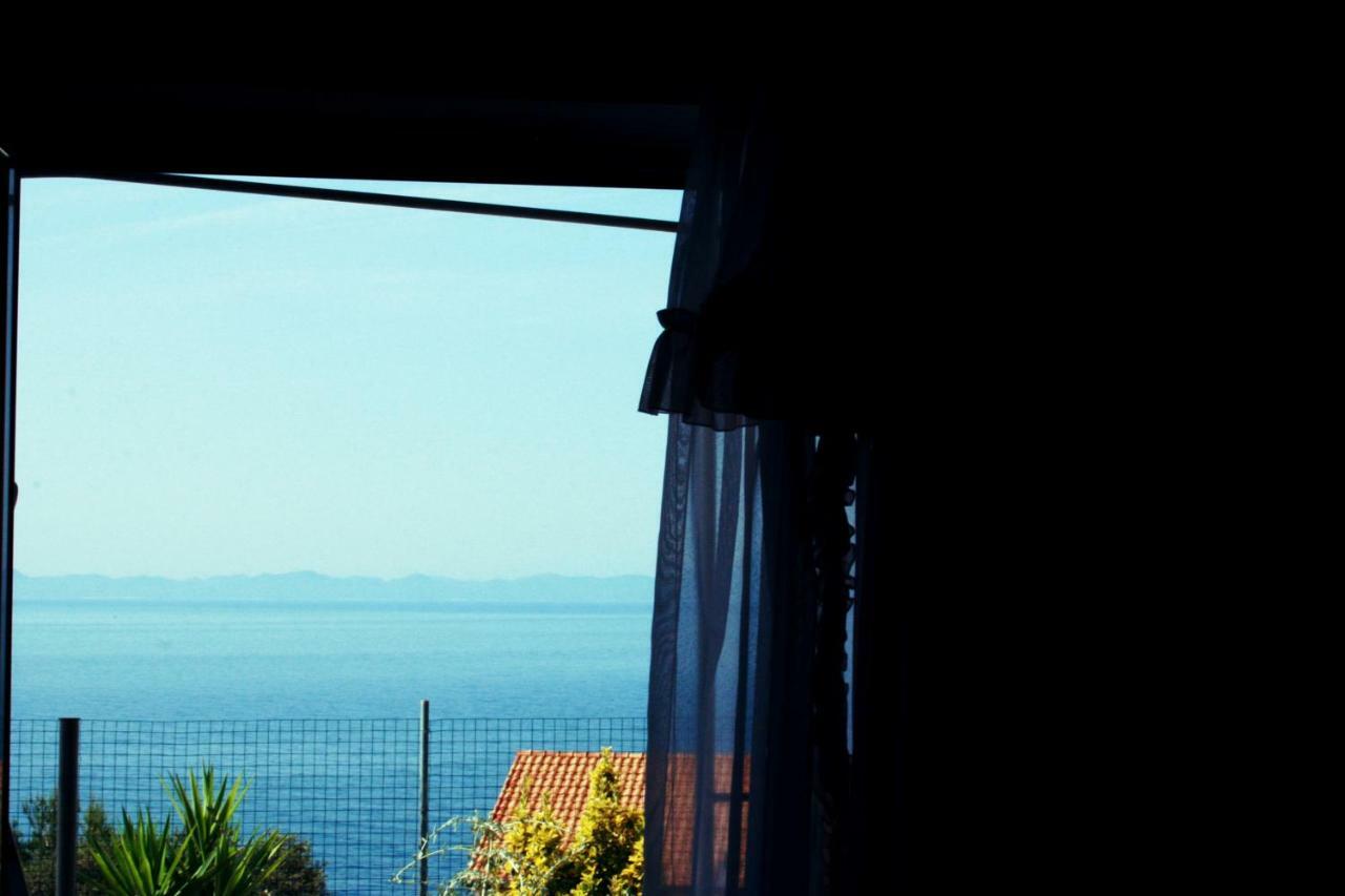 Dubravka Apartman Zavalatica